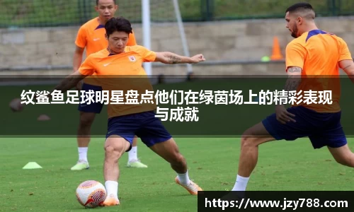 纹鲨鱼足球明星盘点他们在绿茵场上的精彩表现与成就